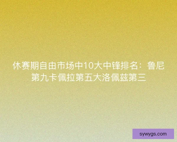 休赛期自由市场中10大中锋排名：鲁尼第九卡佩拉第五大洛佩兹第三