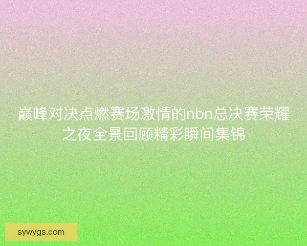 巅峰对决点燃赛场激情的nbn总决赛荣耀之夜全景回顾精彩瞬间集锦